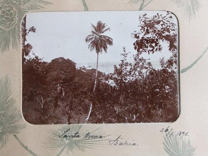 DrRPfeiffer-1899 072